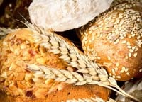 Pane, esempio di cereali