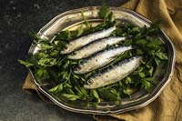 Portion of blue fish with vegetables