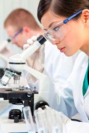 Medical researchers at the microscope