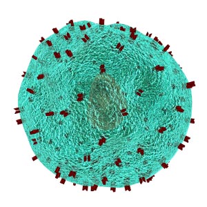 Cellule T del sistema immunitario