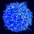 Le cellule CD8, note come cellule T killer, sono in grado di uccidere le cellule estranee e pericolose, incluse le cellule tumorali