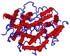 Interferone gamma, inibitore di virus, che viene prodotto dai leucociti in risposta alla fitoemoagglutinina